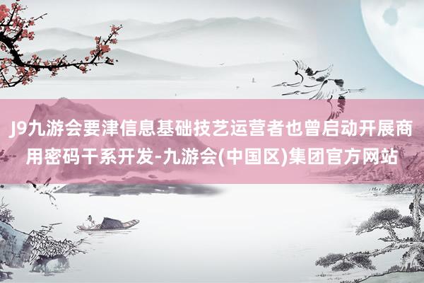 J9九游会要津信息基础技艺运营者也曾启动开展商用密码干系开发-九游会(中国区)集团官方网站